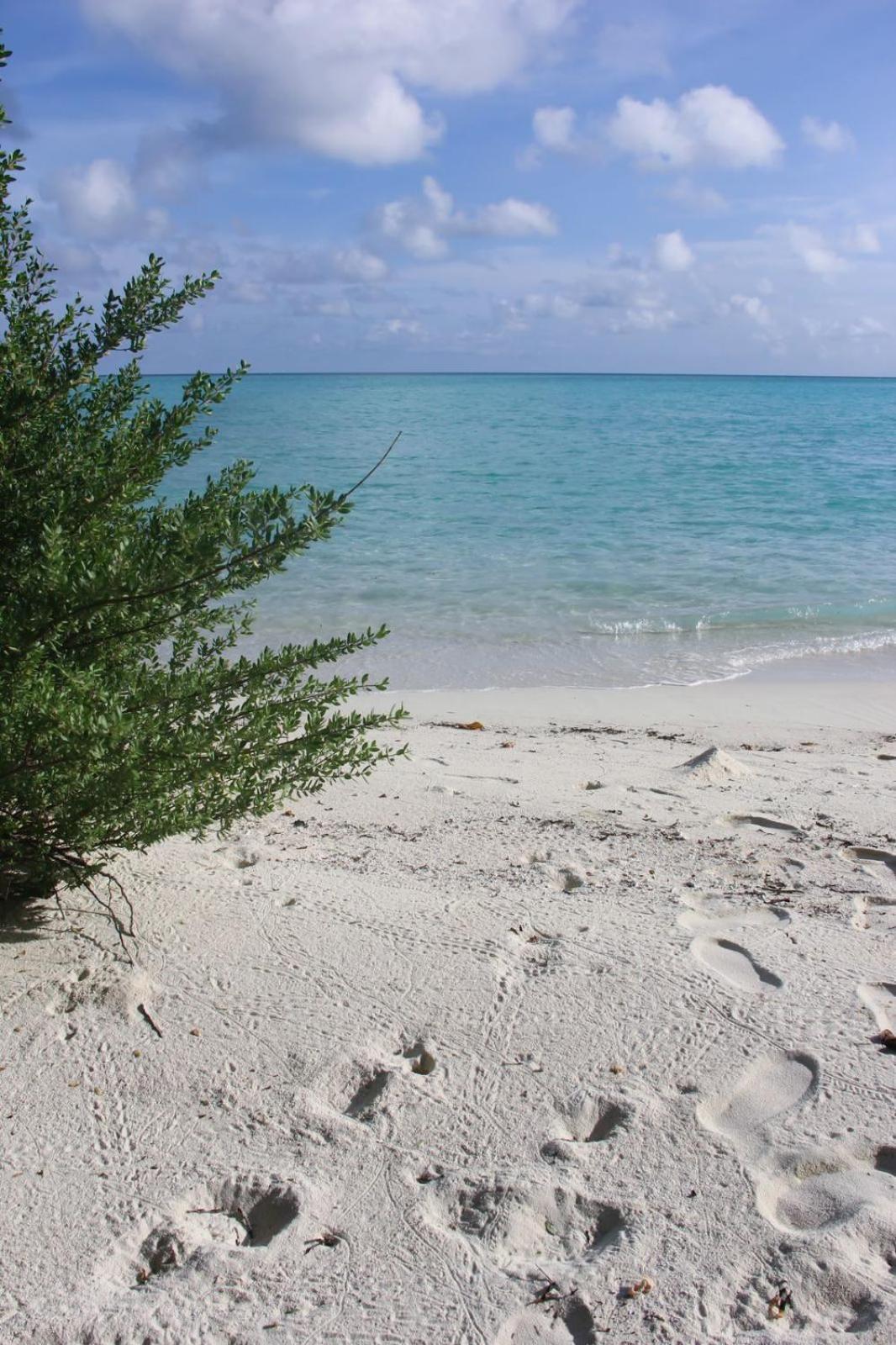 Isla Retreat Hotel Fehendhoo Kültér fotó